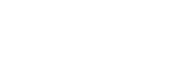 bluebottle